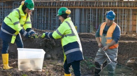 Budownictwo odpowiedzialne – dobre praktyki BIZNES, Firma - Społeczna Odpowiedzialność Biznesu staje się coraz częściej domeną nie tylko dużych międzynarodowych korporacji ale także małych i średnich firm działających lokalnie. CSR coraz częściej dotyczy także generalnych wykonawców.