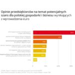 Wejście Polski do strefy euro w odczuciu małych przedsiębiorców