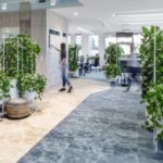 Biophilic vademecum – jak stworzyć zdrową przestrzeń pracy