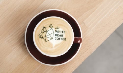 Misiek do pary – drugi lokal the White Bear Coffee w Białymstoku