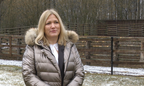 Kolejny park narodowy stawia na instalacje fotowoltaiczne. Inwestycja w Dolinie Biebrzy pozwoli zredukować emisję CO2 o 20 ton rocznie