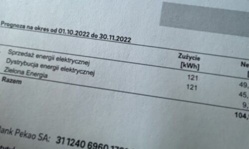 Rachunek za energię tworzy nawet kilkanaście pozycji. Część z nich możemy obniżyć, zmniejszając zużycie prądu [DEPESZA]